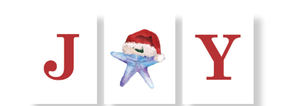 NANTUCKET JOY STARFISH BUNDLE BLOCKS