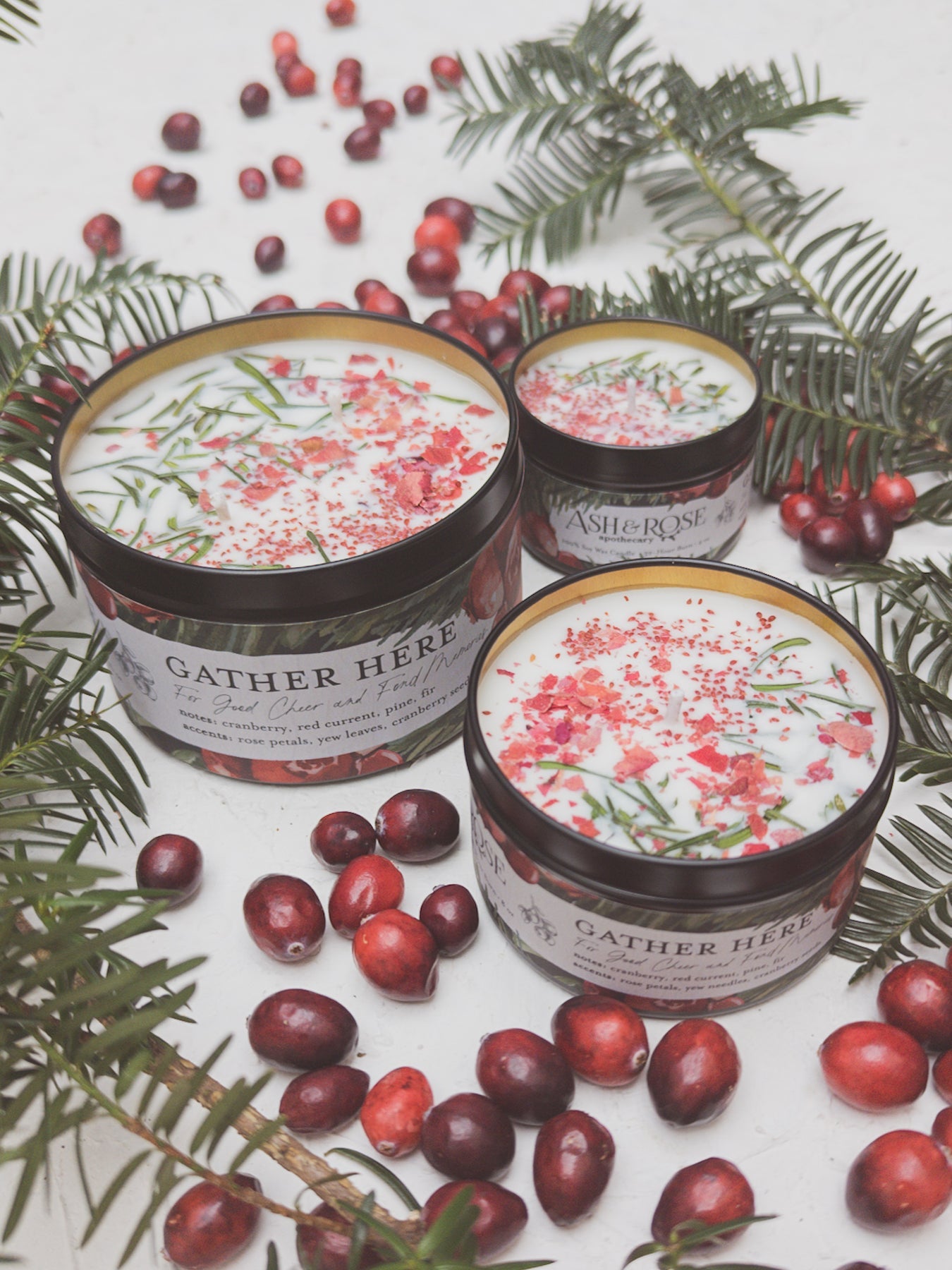 CRANBERRY PINE 16OZ