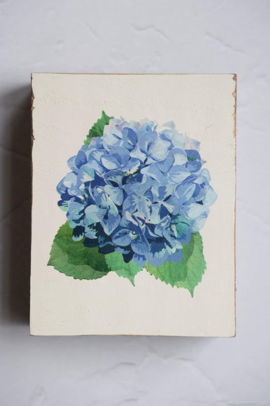 SINGLE HYDRANGEA BLOCK