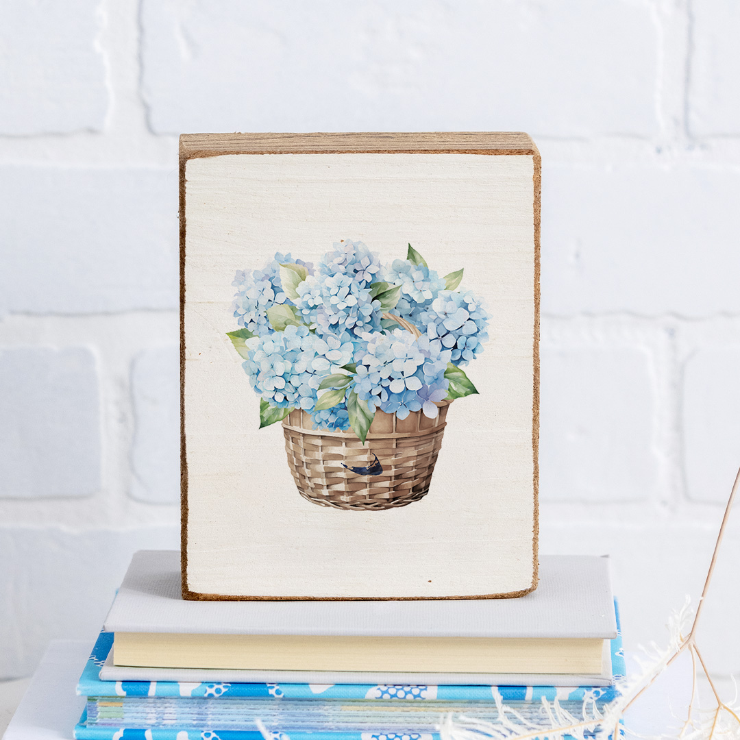 Hydrangea Collection