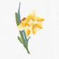 Daffodil Hand Towel