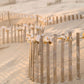 Seashell Fence Print