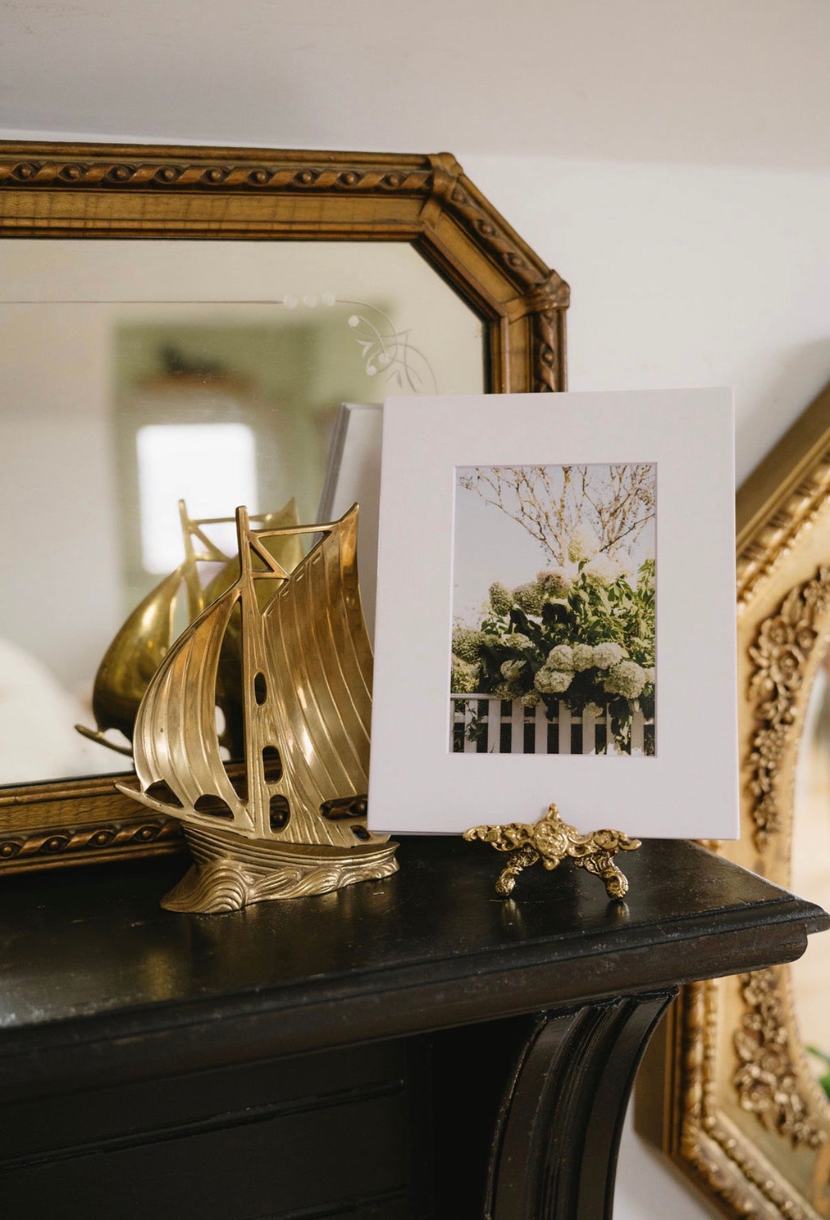Hydrangea Print