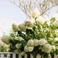 Hydrangea Print