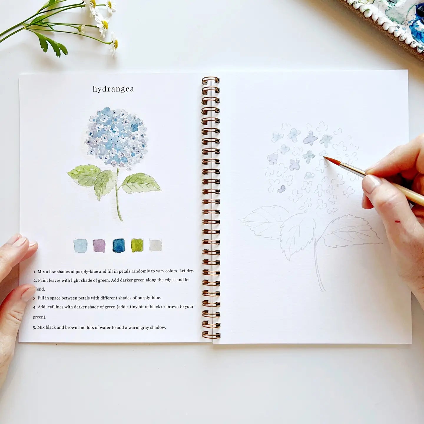 HYDRANGEA FLOWERS WATERCOLOR WORKBOOK